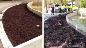 Soluciones Florales  de Arribas Center-Barnaplant  “La Fuente Luminosa 8 de Marzo” en el parque Miguel Servet de Huesca.