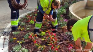 Soluciones Florales  de Arribas Center-Barnaplant  “La Fuente Luminosa 8 de Marzo” en el parque Miguel Servet de Huesca.