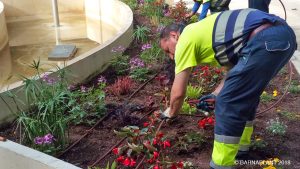 Soluciones Florales  de Arribas Center-Barnaplant  “La Fuente Luminosa 8 de Marzo” en el parque Miguel Servet de Huesca.