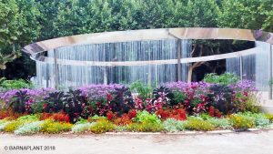 Soluciones Florales  de Arribas Center-Barnaplant  “La Fuente Luminosa 8 de Marzo” en el parque Miguel Servet de Huesca.