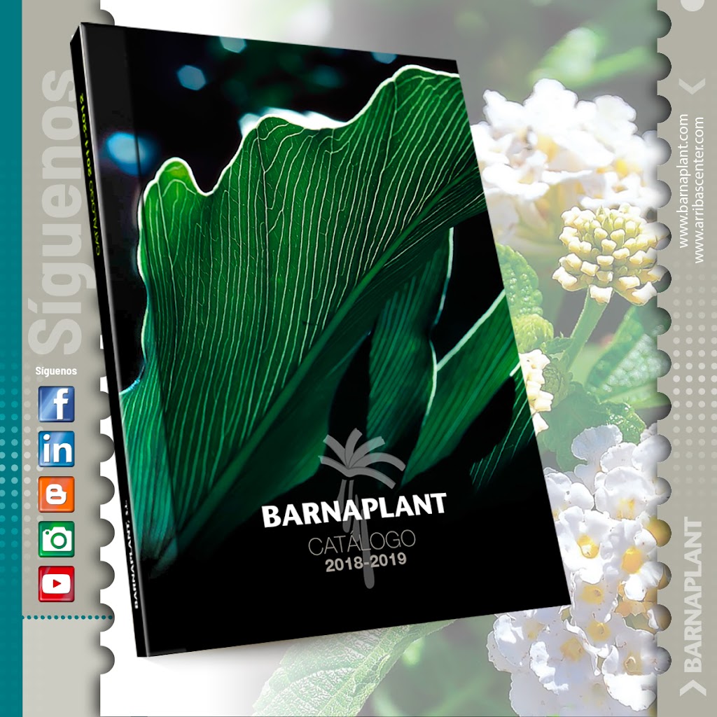 Nuevo catálogo 2018-2019, para profesionales del paisajismo y la jardinería, de Barnaplant