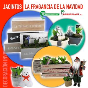 jacintos-barcelona-decoracion-01.