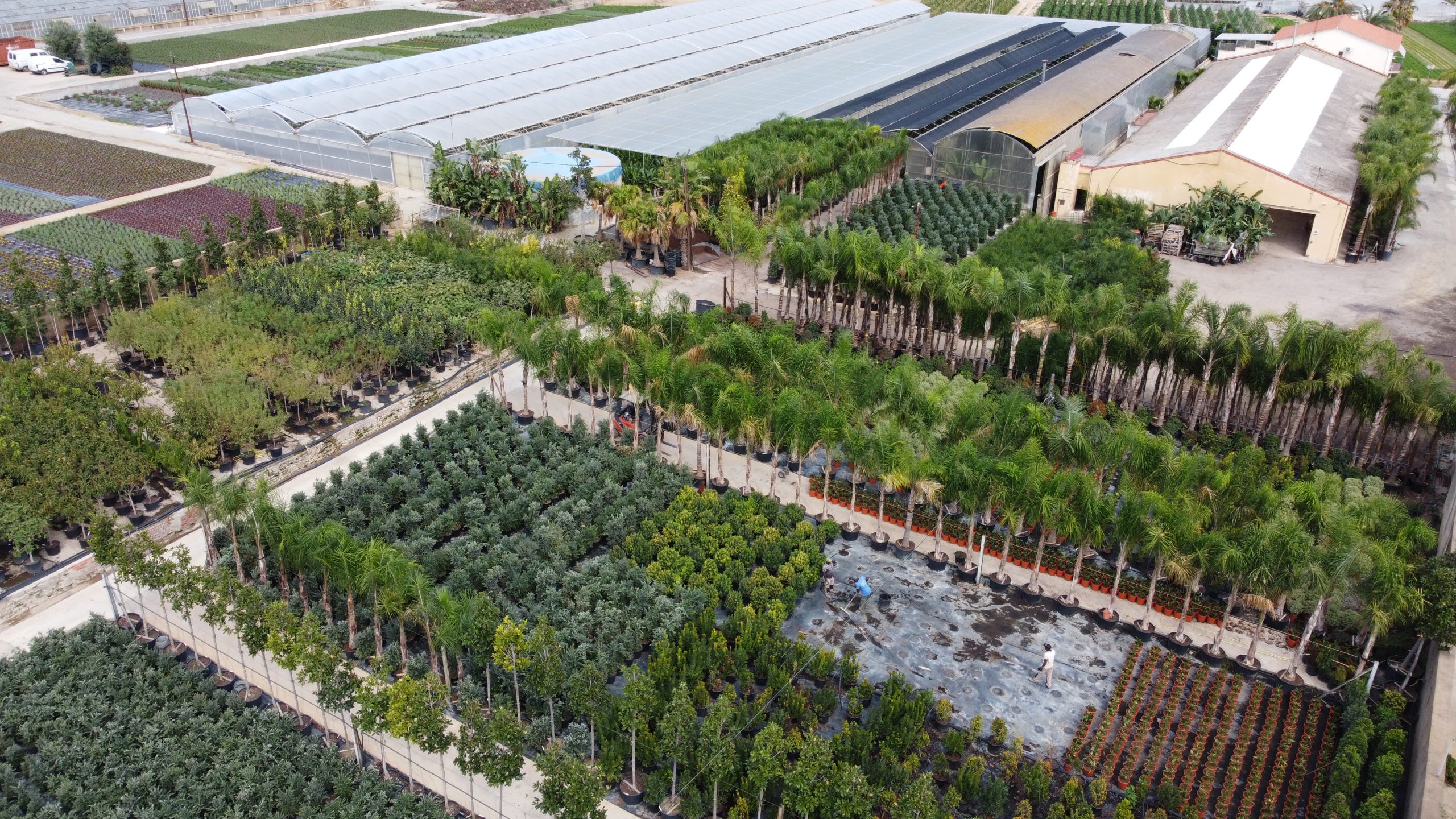 producci-n-arribas-center