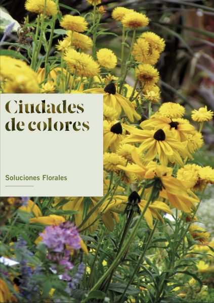 cuidades_de_colores